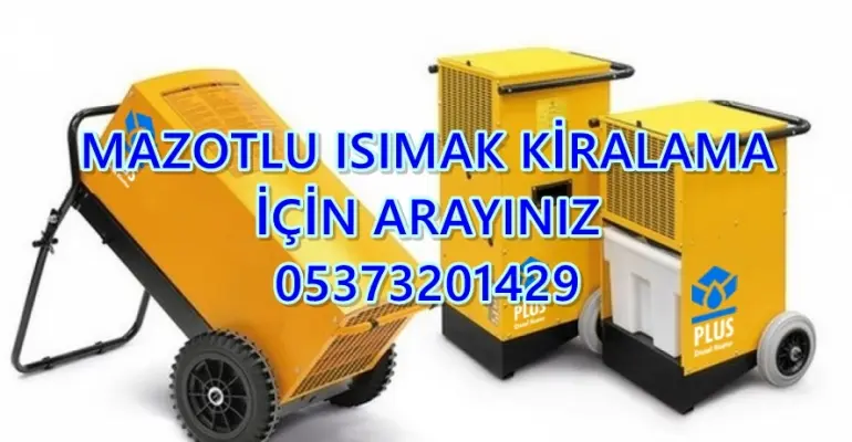 Islak Tavan Nem Alma Kurutma Nedir? Nasıl Yapılır? Yöntemleri Nelerdir?